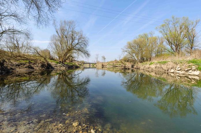 Fischwanderhilfe Ottensheim-Wilhering