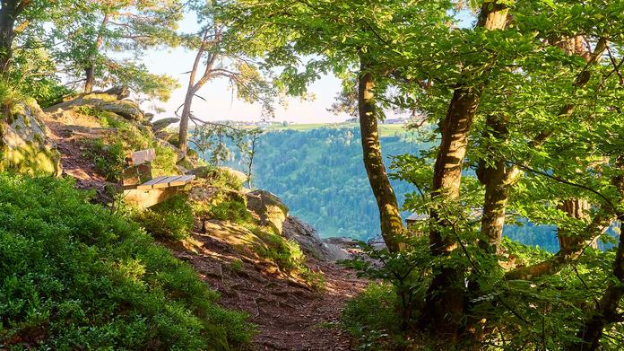 Panoramablick Pühretstein