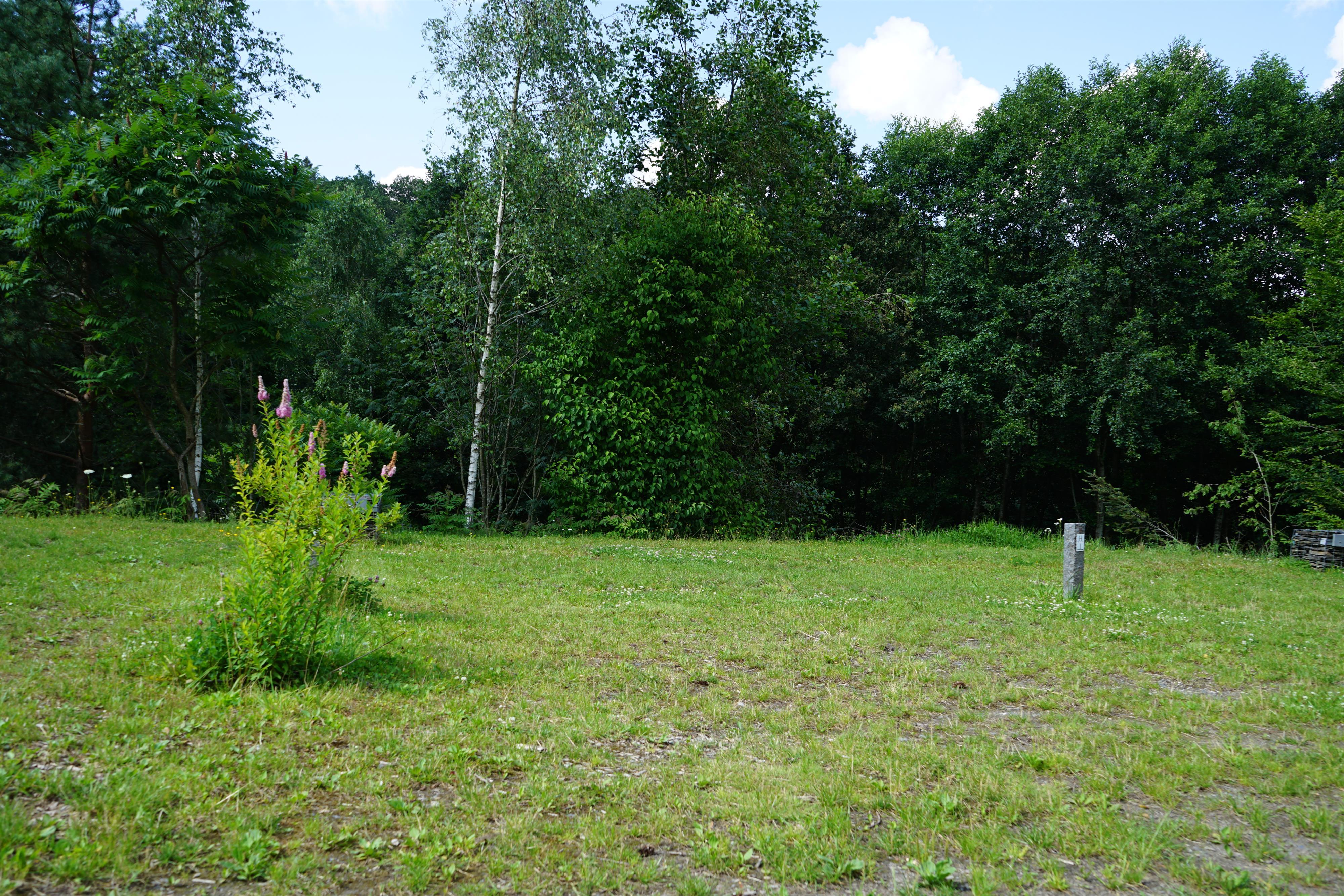 Stellplatz BASIC für Reisemobil / Wohnwagen, 60-70m², inkl. Strom&Wasser.