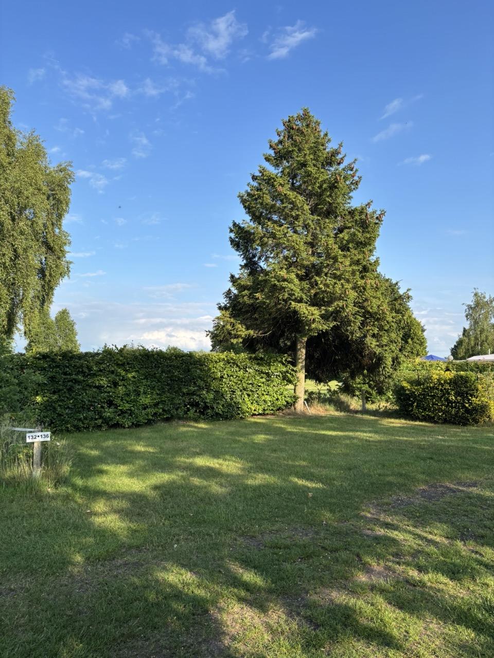 Standard pitch 55-75 m² with electric and water connection directly on the pitch