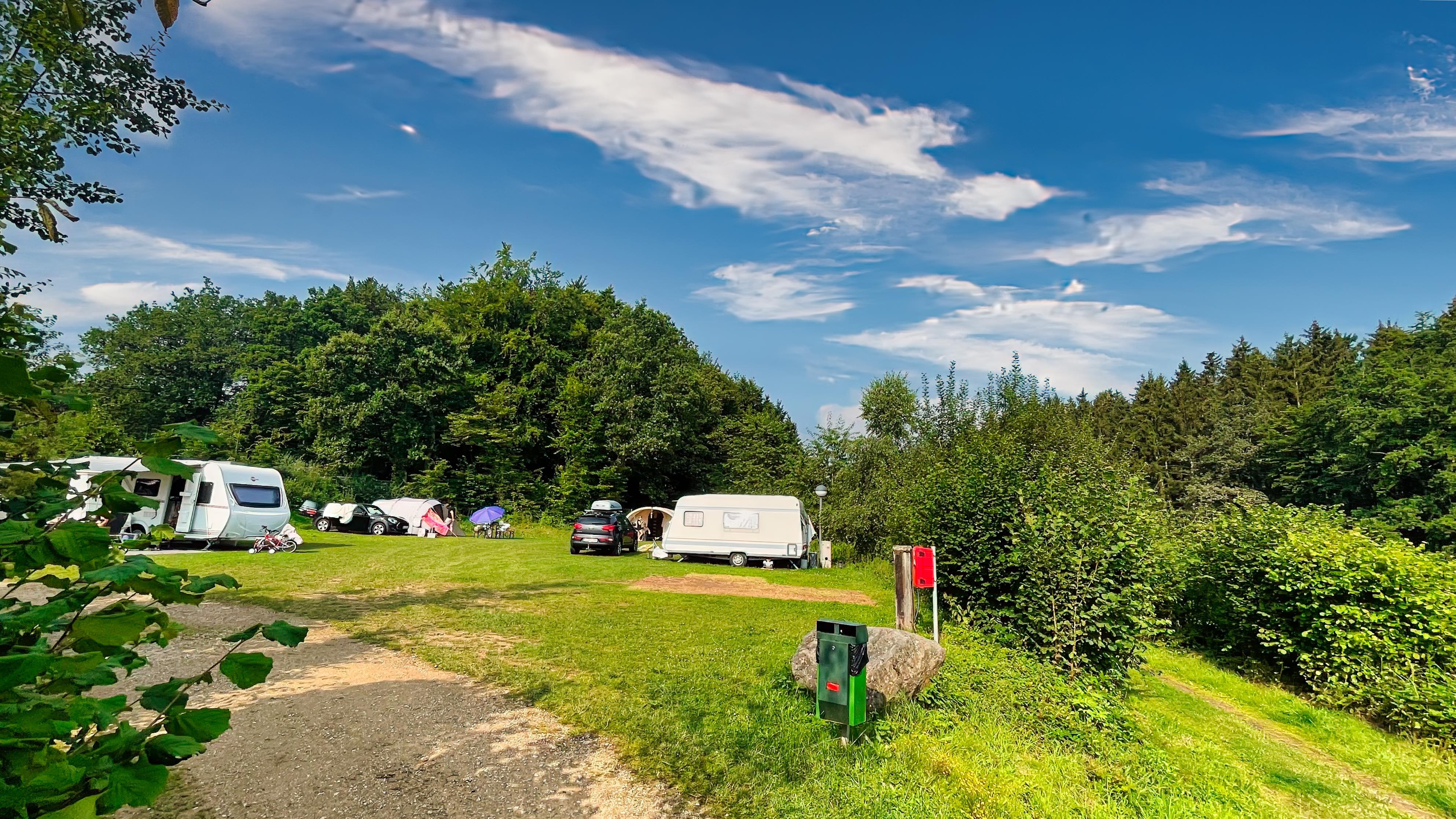 Posto standard sulla prateria di fiori di circa 70-80 m²
