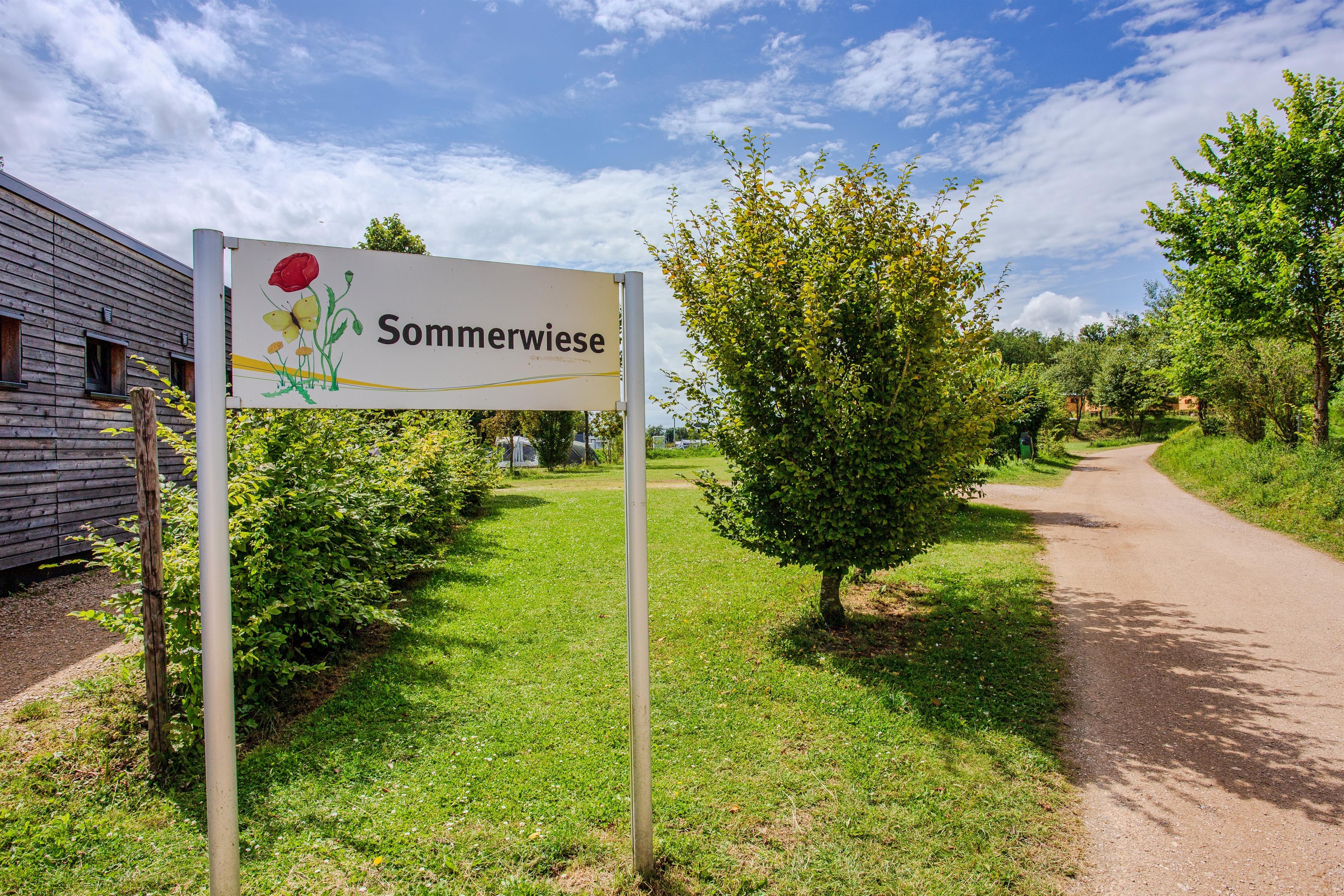 Posto auto standard sulla prateria estiva di circa 70-80 m²