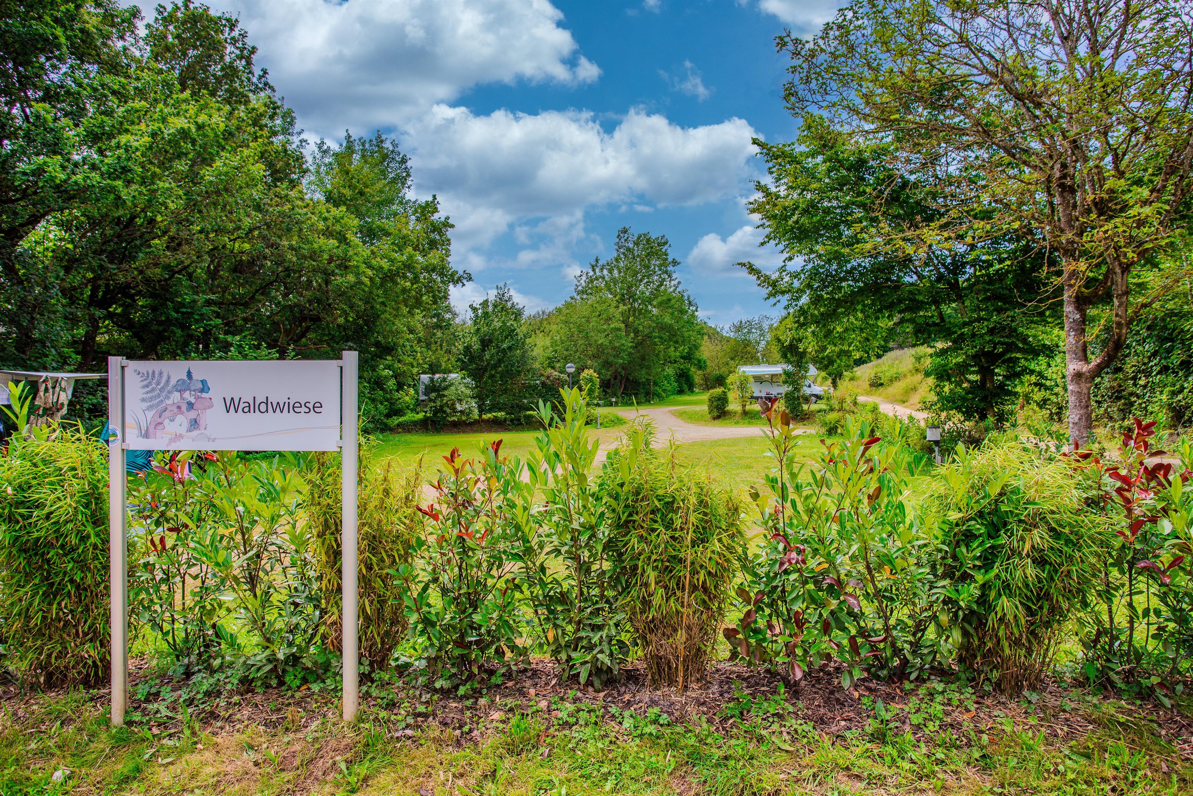 Posto standard sulla prateria del bosco di circa 70-80 m²