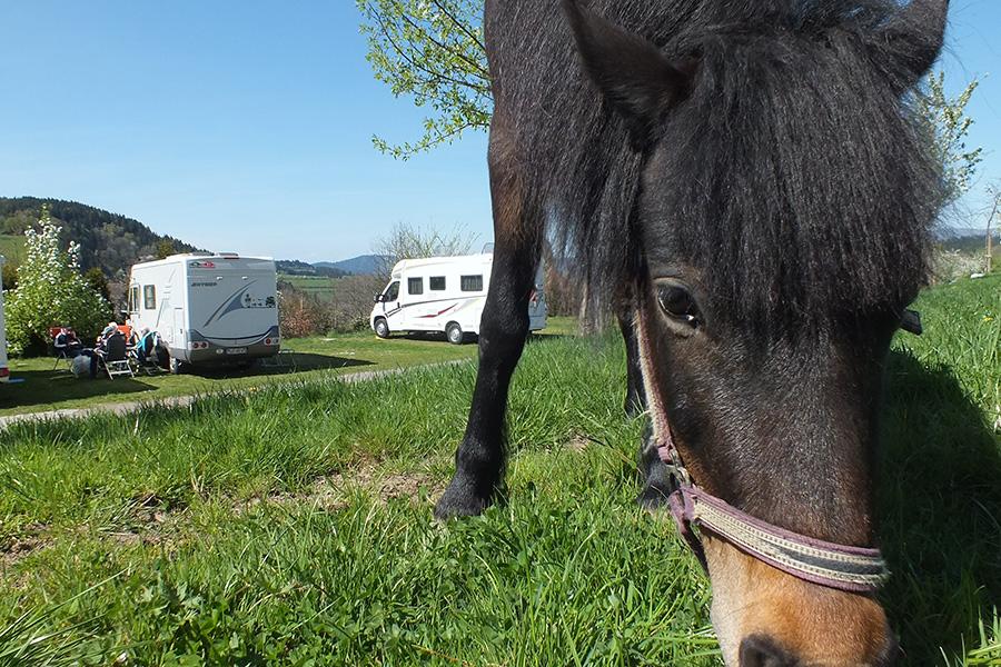 Posto "Premium", tenda/camper/caravan