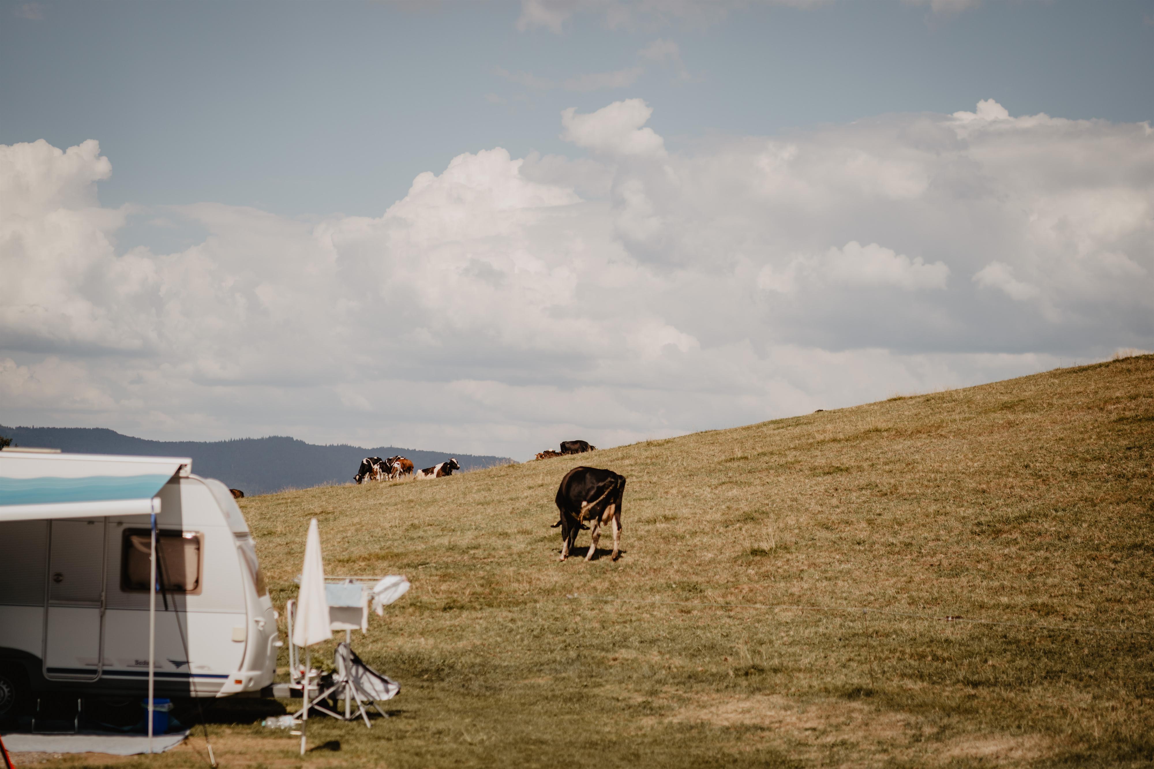 Posto "Standard", tenda / camper / roulotte