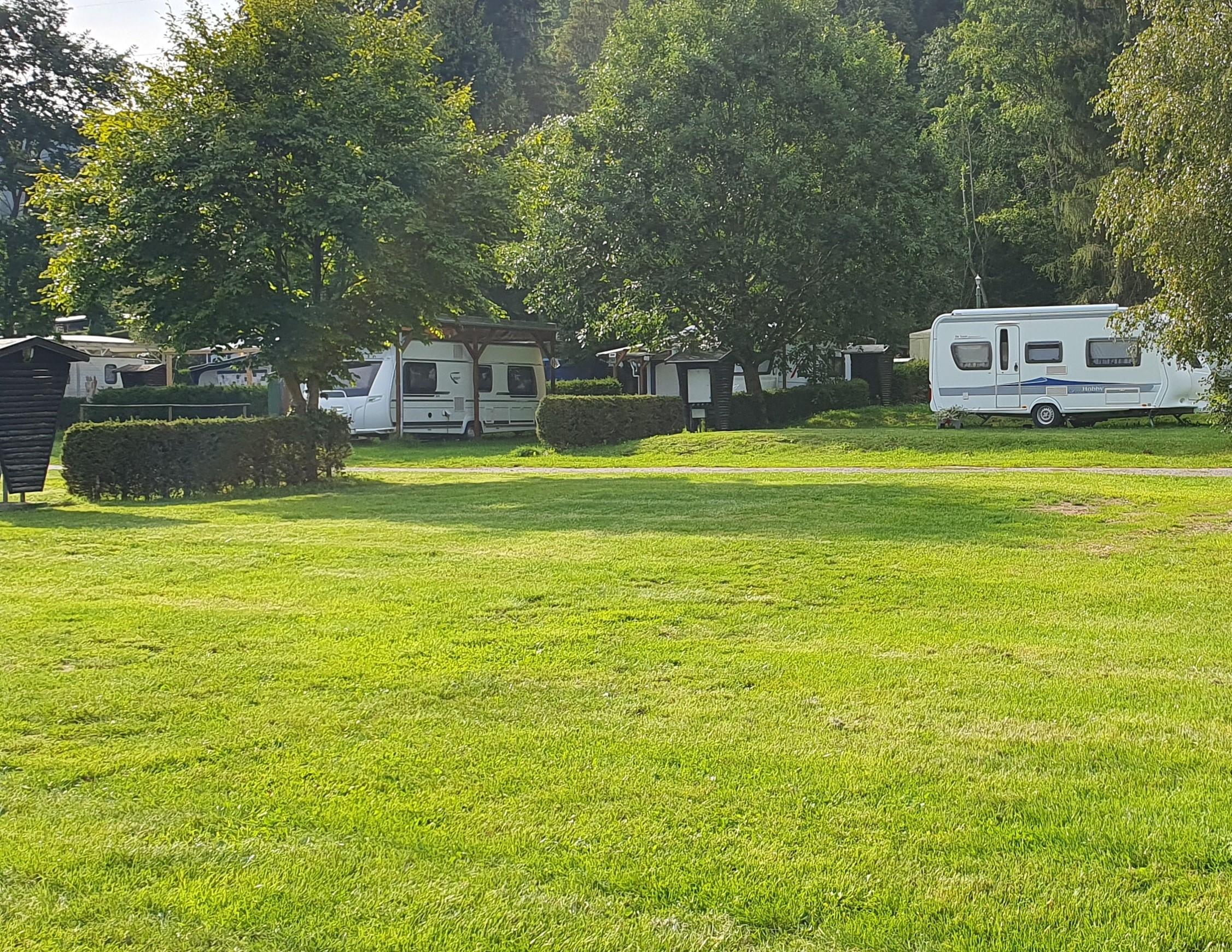 Piazzola vicino alla siepe di abeti