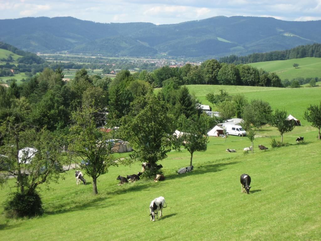 Posto panoramico, tenda / camper / roulotte