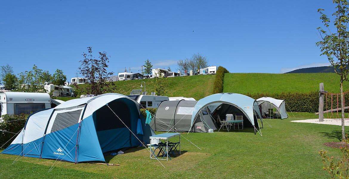 BASIC Stellplatz NUR für Zelte bis 6,50m Länge Z03