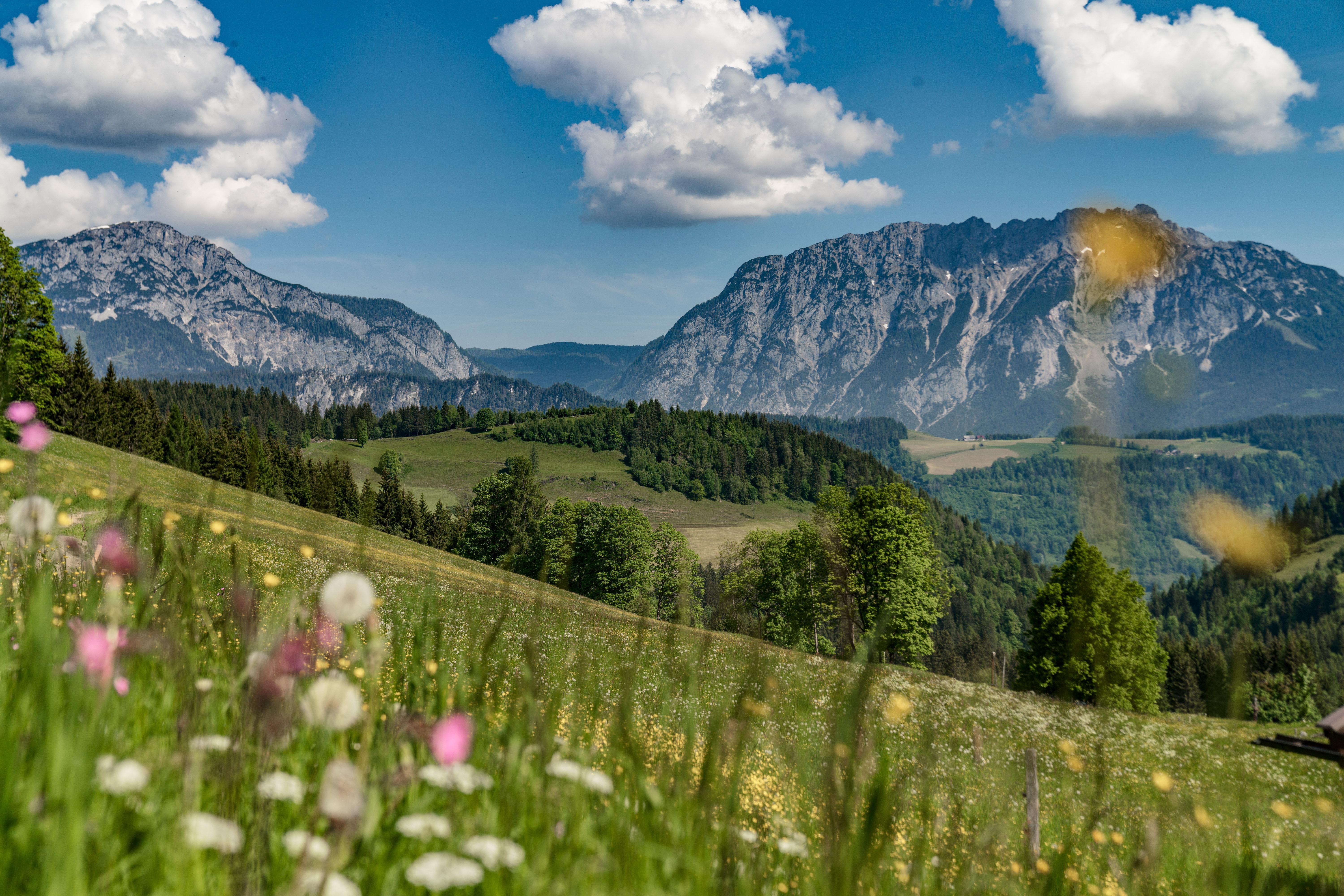 Druckfeichterhof in Michaelerberg-Pruggern, Steiermark
