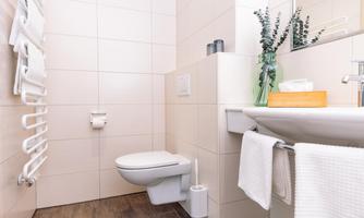 A modern bathroom with a white toilet and a sink. Towels and decorative plants create an inviting atmosphere in the room.