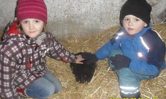 Two children are sitting on straw and petting a black rabbit. They are wearing warm clothes and smiling.