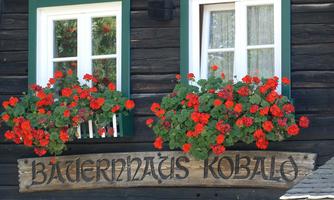 A half-timbered house with two windows and blooming geraniums. Above the windowsill hangs a wooden sign with the inscription "Farmhouse Kobalo".