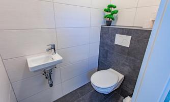 A modern bathroom with a toilet and a small sink. A green plant in a pot stands against the wall.
