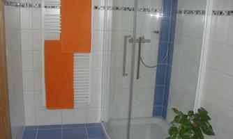 A modern bathroom with a shower and orange towels. There is also a green plant in the room.