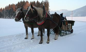 Two horses are pulling an open sleigh ride through the snow. In the background, snow-covered trees and mountains can be seen.