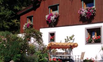 A charming house with a wooden facade and blooming windows. In front of the house is a cozy seating area with plants and flowers.