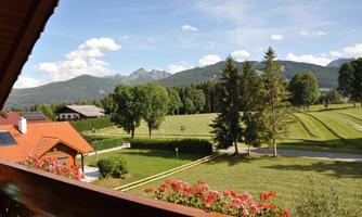 A picturesque view of green meadows and mountains. In the foreground, flowers and trees can be seen.