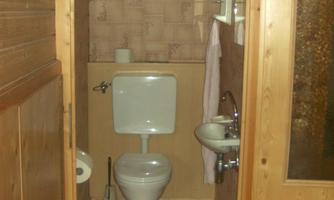 A small bathroom with a sloping roof, toilet, and sink. The walls are designed with a wood look and there are some shelf spaces.