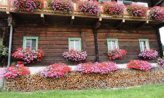 A traditional wooden house with colorful flower boxes. In front of the house, there is a neatly stacked woodpile and a meadow.