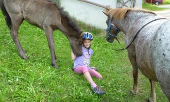A child sits on the grass and laughs, surrounded by two horses. One of the horses comes closer and sniffs at the child.