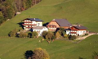 A picturesque farmhouse with several buildings in a green, hilly landscape. Cows graze peacefully nearby.
