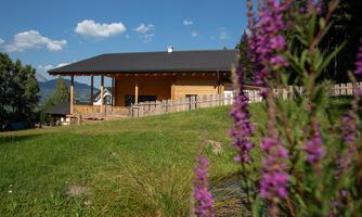 A modern wooden house on a green meadow. In the foreground, purple flowers are blooming.