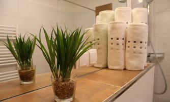A modern bathroom with a small pot of green plants and a stack of white towels. The decor is simple and inviting.