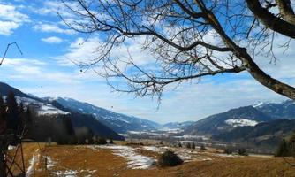 A picturesque landscape with snow-covered mountains and a clear sky. In the foreground, there is a tree and the grass is partly green.