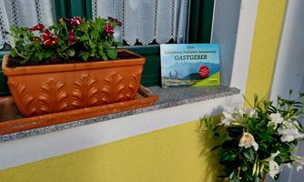 A flower pot with colorful flowers is on a windowsill. Next to it lies a book titled "Host."
