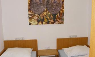 A simple room with two single beds and a carpet. A picture of two hedgehogs hangs on the wall, enhancing the cozy atmosphere.