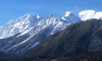 Snow-covered mountains under a clear blue sky. In the foreground, green forests are visible.