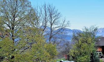 A picturesque landscape with various trees and mountains in the background. The sky is clear and blue.