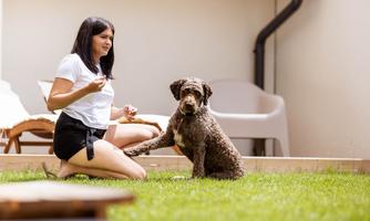A woman is sitting in the garden on the lawn and is interacting kindly with a dog. The dog is sitting next to her and is watching attentively.