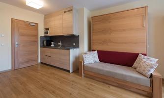 A modern, bright apartment with a small kitchenette and a cozy sofa. The floor is made of wood and there is plenty of space to relax.