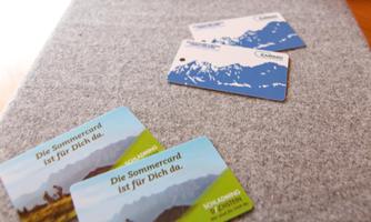 A gray blanket is on a table, on which two credit cards with landscape motifs lie. In the background, there is a bowl of fresh fruits.