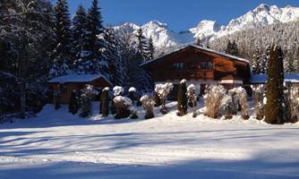 A cozy house in the snow, surrounded by tall fir trees. In the background, snow-covered mountains can be seen.