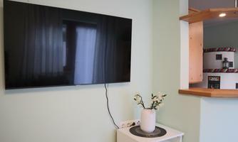 A modern television is mounted on a bright green wall. In front of the television stands a white flower vase with a plant.