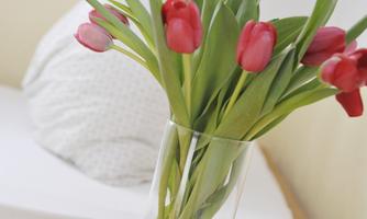 A beautiful bouquet of red tulips in a glass vase. The background features a cozy bed and a bright room.