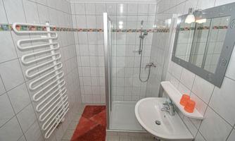 A modern bathroom with a shower, a sink, and a mirror. The walls are tiled, and there is a towel warmer as well as a reddish bath mat.