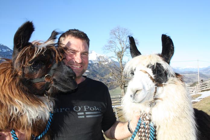 Lama und Alpaka Begegnungen am Klausnerhof