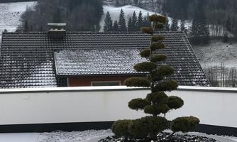 A well-kept garden with a curved bonsai tree and two large white spheres. In the background, snow-covered hills and a quiet village can be seen.