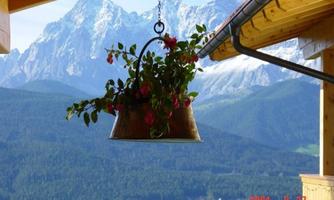 A hanging flower box with colorful plants in front of an impressive mountain panorama. The scene exudes tranquility and natural beauty.