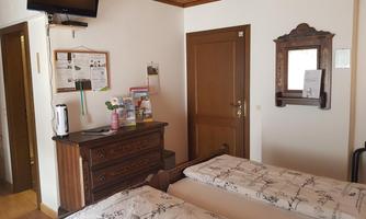A cozy room with two beds and wooden decor. There is a television, a desk, and a window that provides daylight.