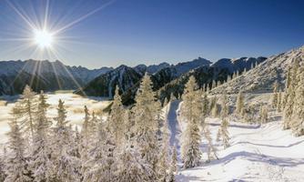 A winter landscape with snow-covered trees and mountains in the background. The sun is shining brightly in the blue sky.
