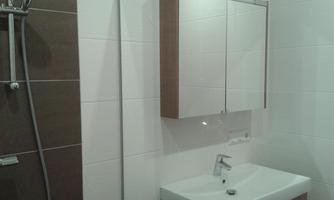 A modern bathroom with a shower and a sink. The mirror cabinet is mounted above the sink.
