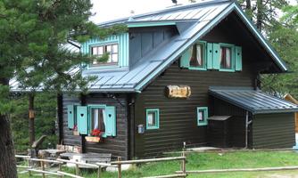 A cozy wooden house with green-blue windows and a metal roof. Surrounded by trees and a small meadow.