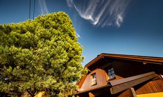 A beautiful house with wooden elements and a large green tree in the foreground. The sky is blue with some clouds.