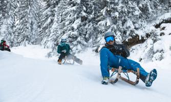 Two people are sledding down a snowy slope. Surrounded by snow-covered trees, they enjoy the winter fun.