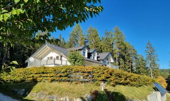 A beautiful house surrounded by trees and bushes. The clear blue sky provides an idyllic atmosphere.
