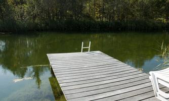 A wooden path leads to a calm, green body of water. Surrounded by trees, the place offers a peaceful view.
